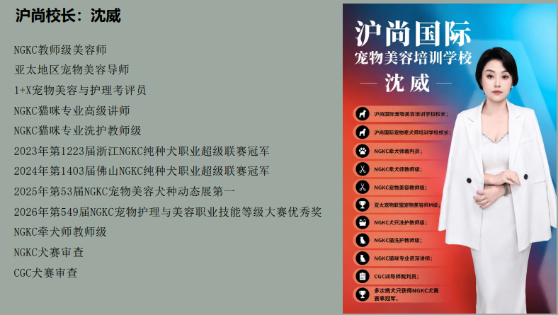沪尚B级萌系基础班课程