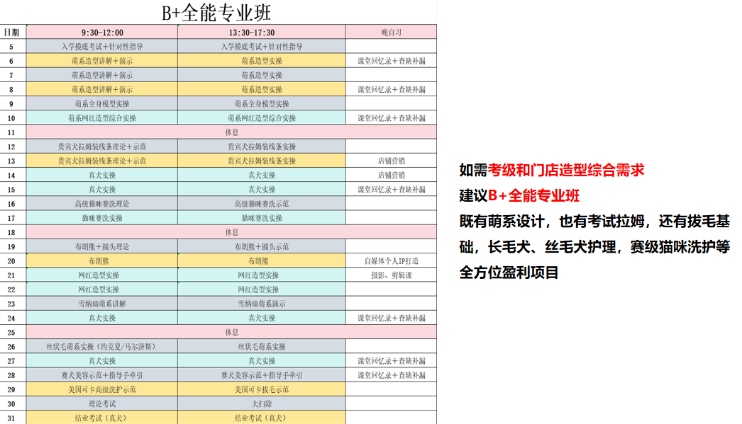 沪尚B+全能专业班课程