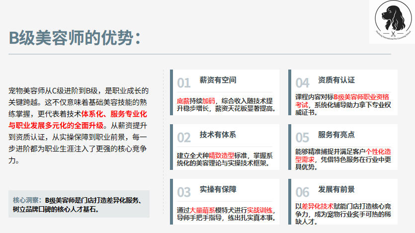 沪尚B+全能专业班课程