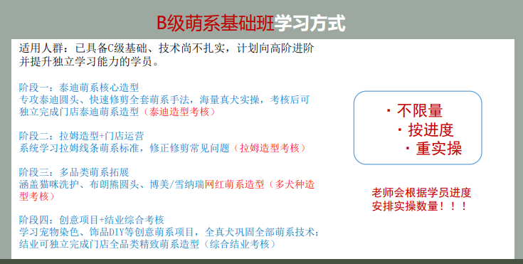 沪尚B级萌系基础班课程
