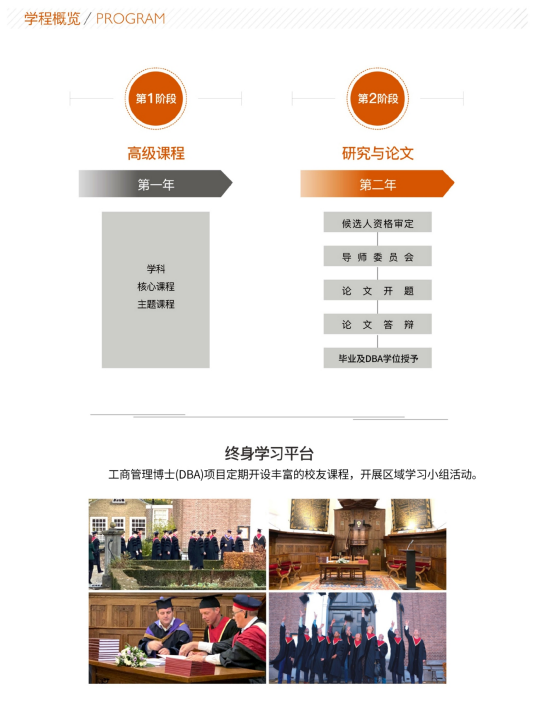 荷兰NLBA商学院工商管理博士DBA课程