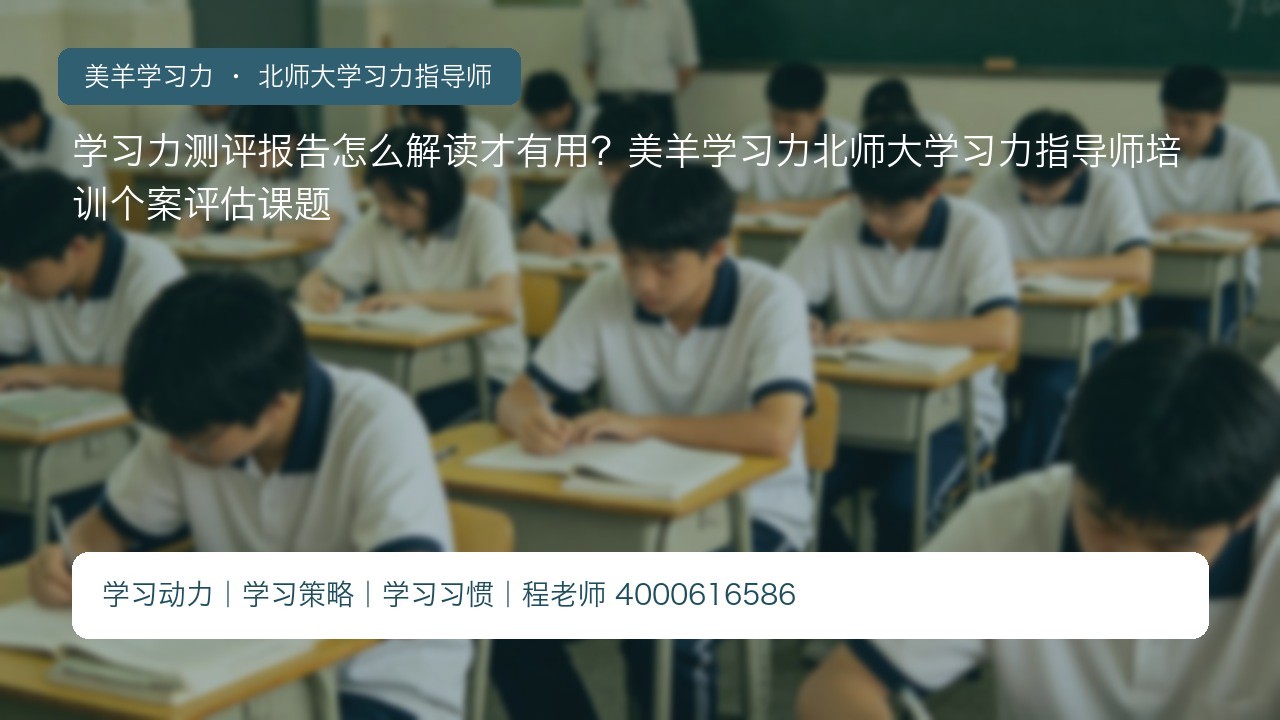 学习力测评报告怎么解读才有用?美羊学习力北师大学习力指导师培训个案评估课题
