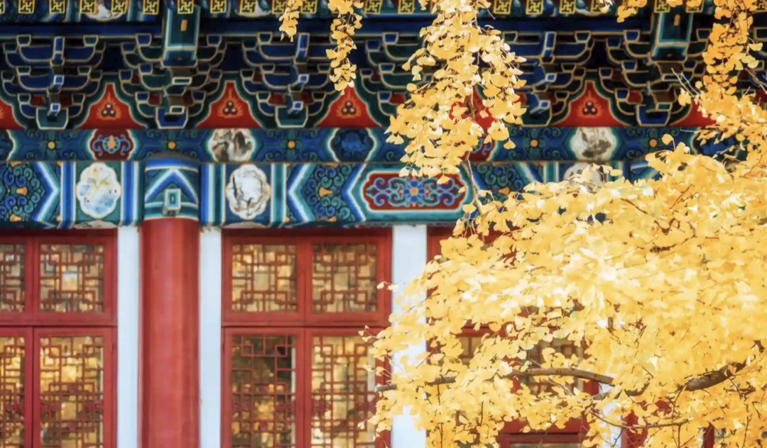 北大培训动态:北京大学历史学系2026年秋季六大研修班开学通知