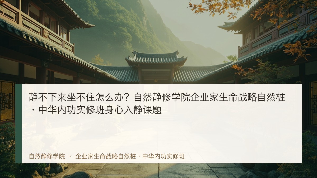 静不下来坐不住怎么办？自然静修学院企业家生命战略自然桩·中华内功实修班身心入静课题