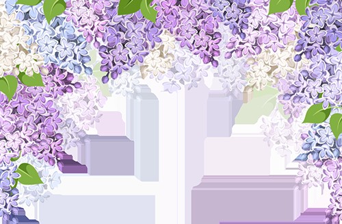 梁敏老师带教:心时代父母第四期七日正念瘦身营9月11日开启