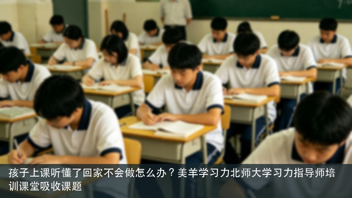 孩子上课听懂了回家不会做怎么办？美羊学习力北师大学习力指导师培训课堂吸收课题