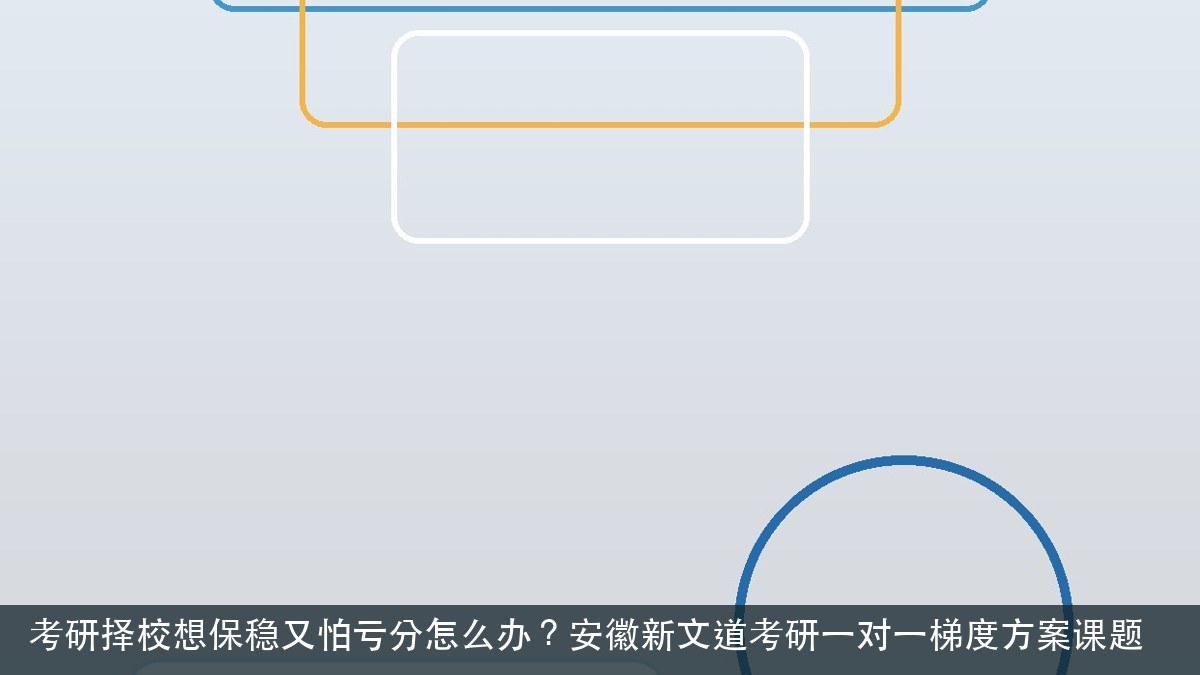 考研择校想保稳又怕亏分怎么办?安徽新文道考研一对一梯度方案课题