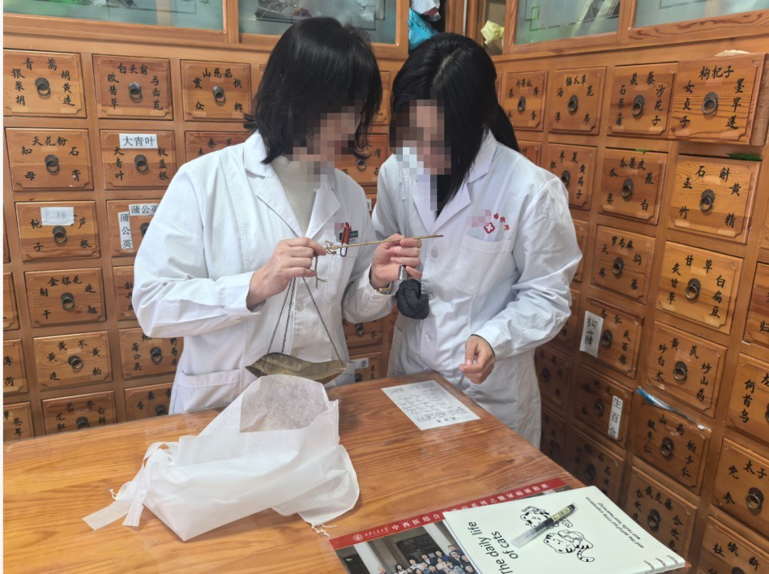腾盛圆中医教育8月师承公证完成：学历不够也能怎样走合规中医师承路