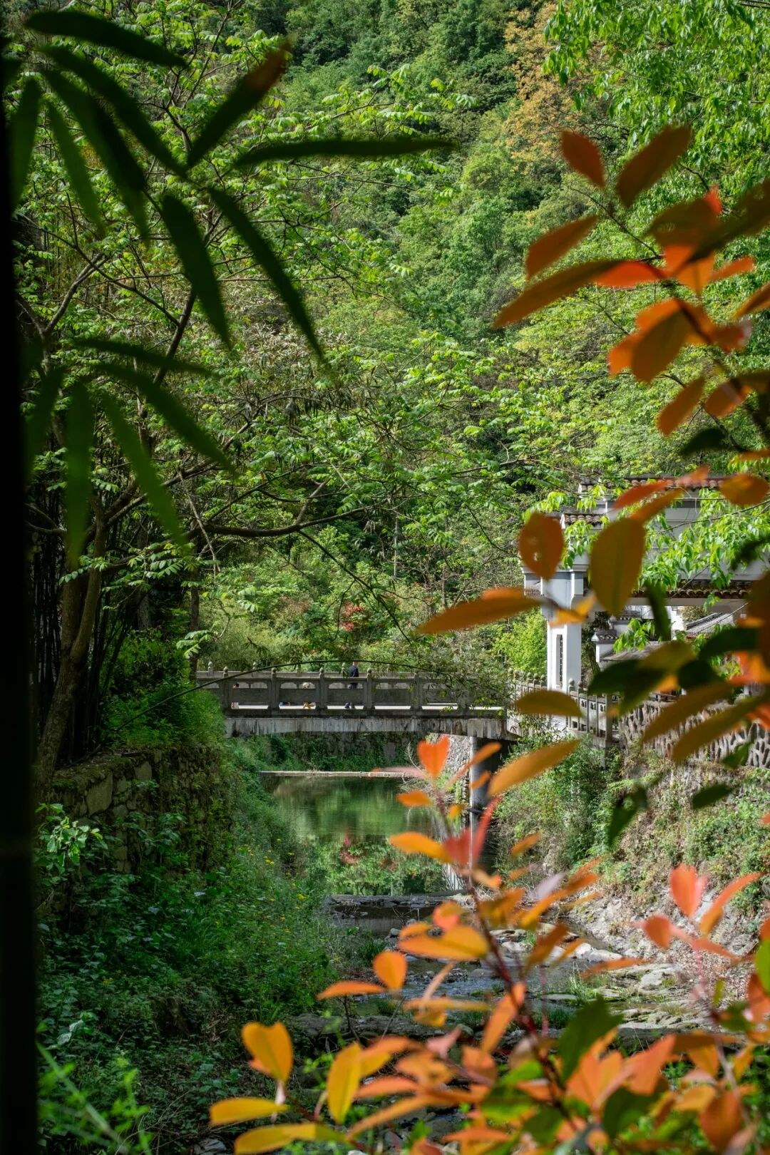 武当玄境山房武当山辟谷营:7天8980元营期里如何给自己按下暂停键