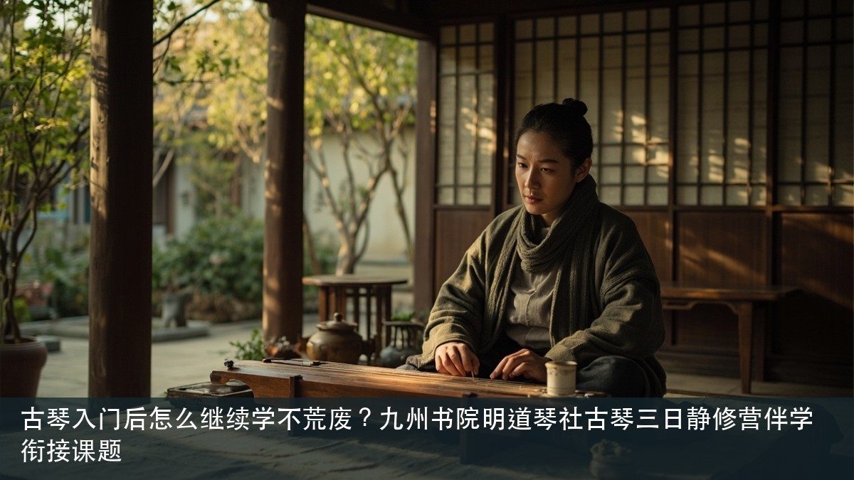 古琴入门后怎么继续学不荒废?九州书院明道琴社古琴三日静修营伴学衔接课题