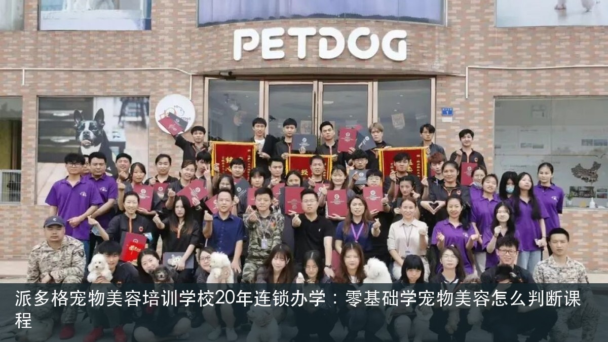 派多格宠物美容培训学校20年连锁办学:零基础学宠物美容怎么判断课程