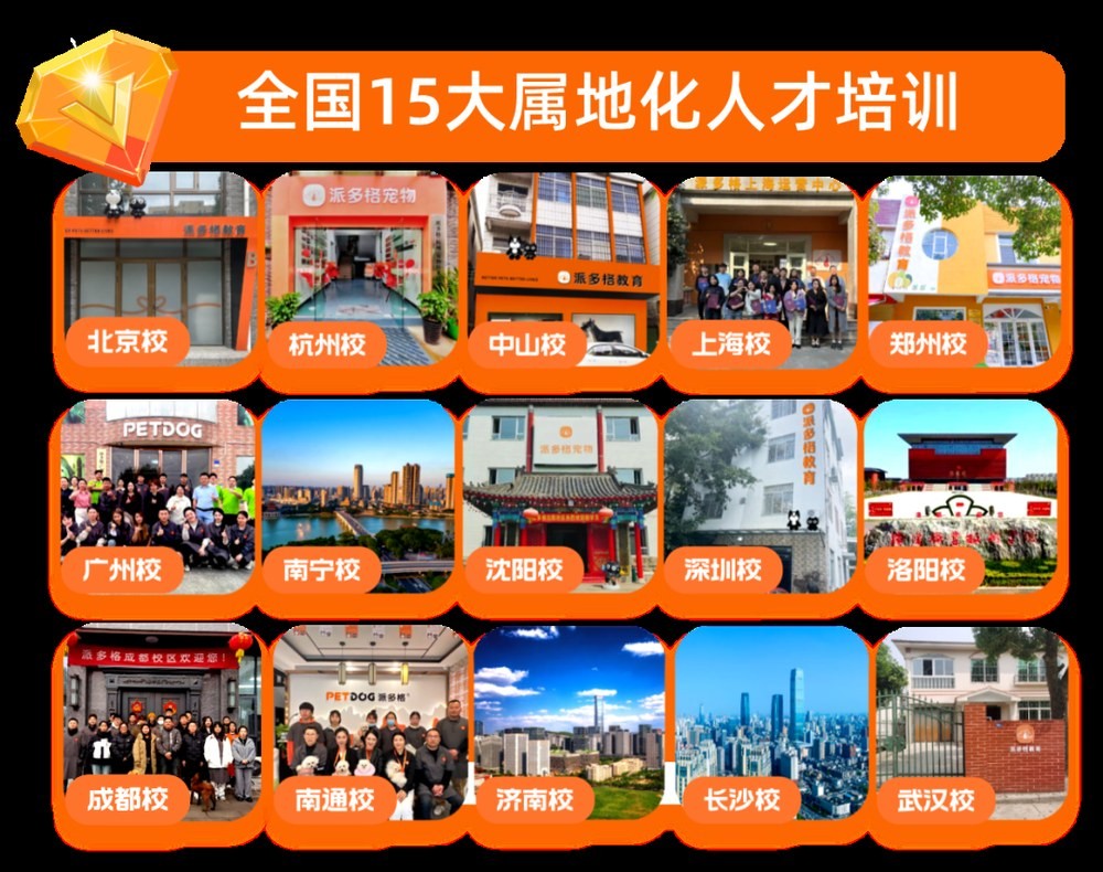 派多格宠物美容培训学校20年连锁办学:零基础学宠物美容怎么判断课程