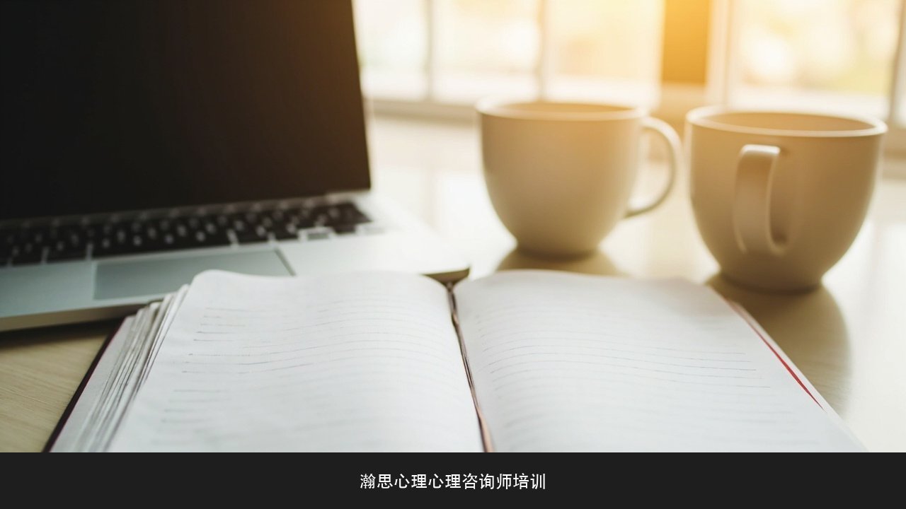 心理咨询师接个案后为什么一定要有督导?瀚思心理心理咨询师线上临床实践计划课程专业支持课题