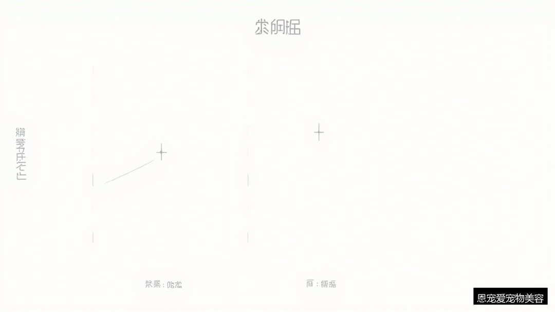 宠物美容培训一般多少钱?恩宠爱宠物美容课程收费与班型对比