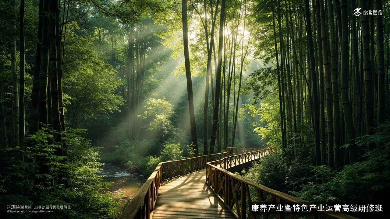 医养一体化怎么落地运营?北京大学康养产业暨特色产业运营高级研修班的区域医养课程解读