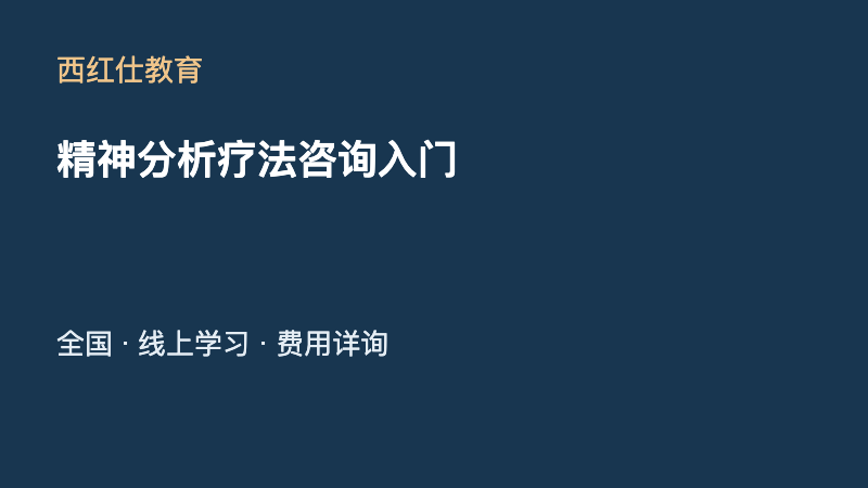 精神分析疗法咨询入门
