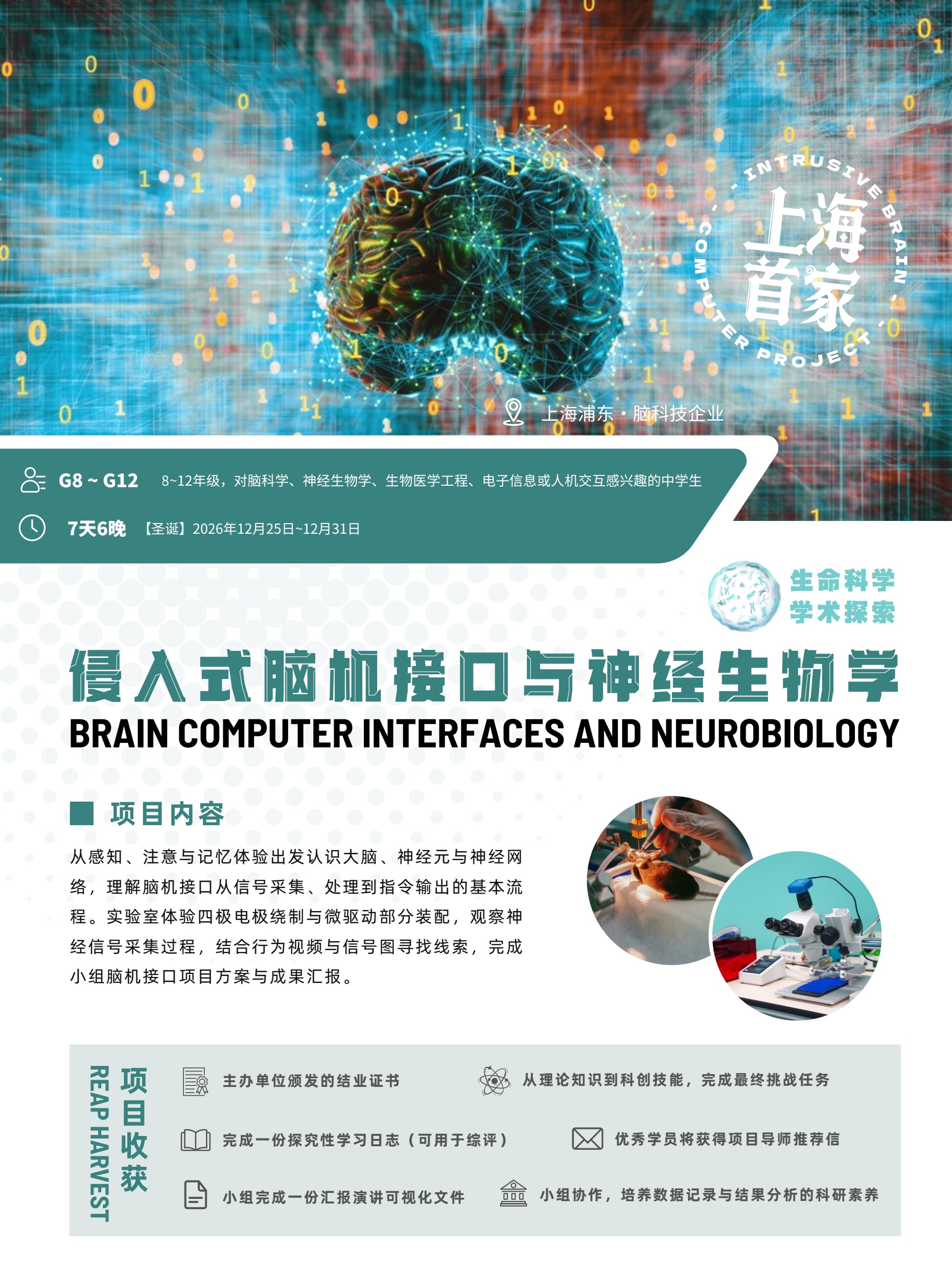 生命科学探索侵入式脑机接口与神经生物学圣诞营