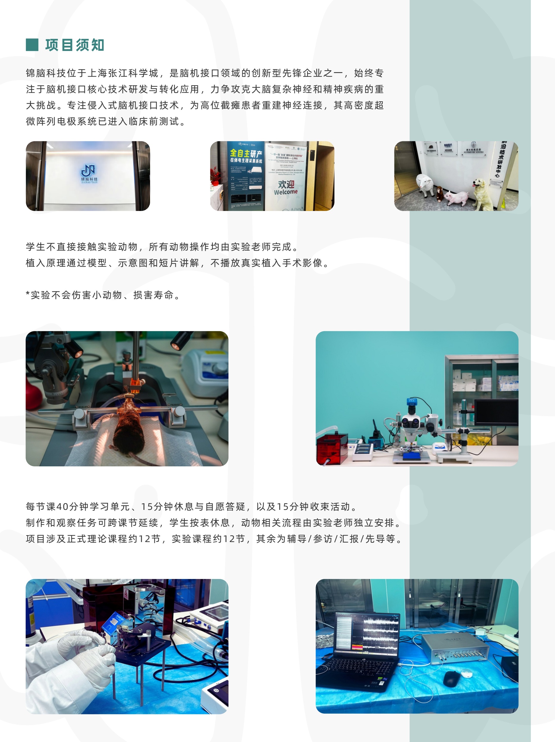 生命科学探索侵入式脑机接口与神经生物学圣诞营