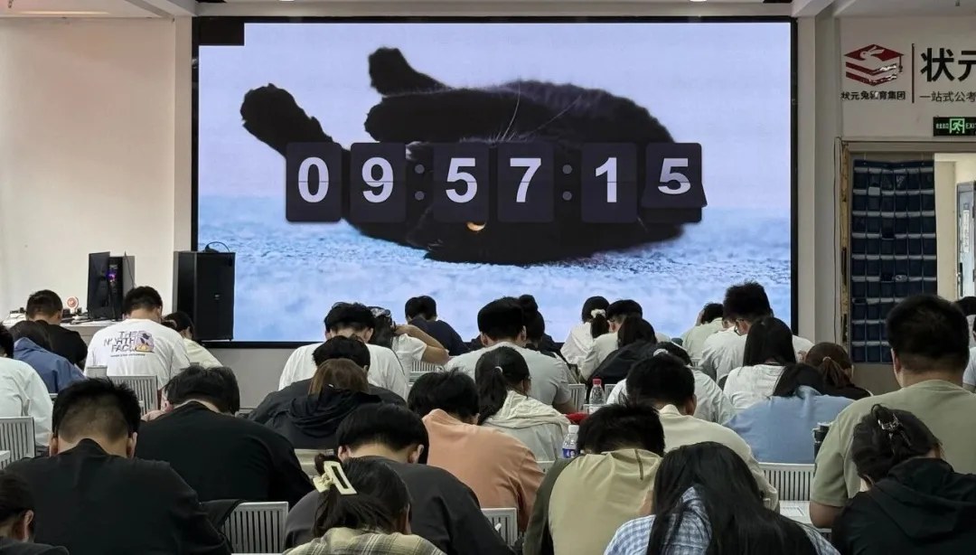 状元兔公考全日制考前冲刺集训:政治理论、行测、申论、全真模考及事业单位课程安排