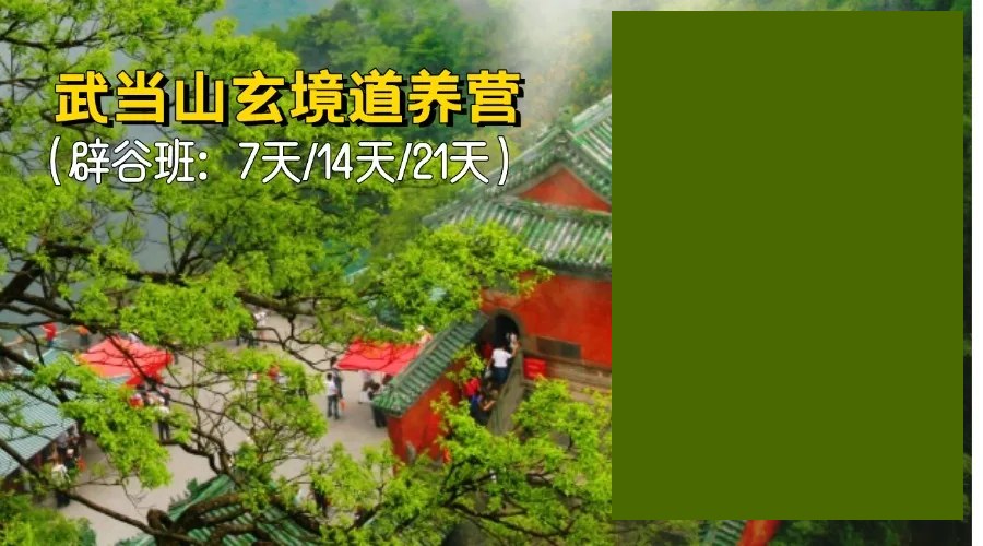 武当山玄境道养营：每月1/11/21号开营，7天8980元、14天12980元