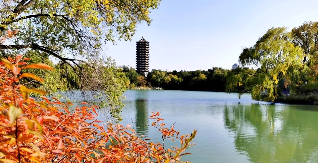 北京大学AI+银发经济领航者研修班第二期:2026年11月27日北京燕园开班