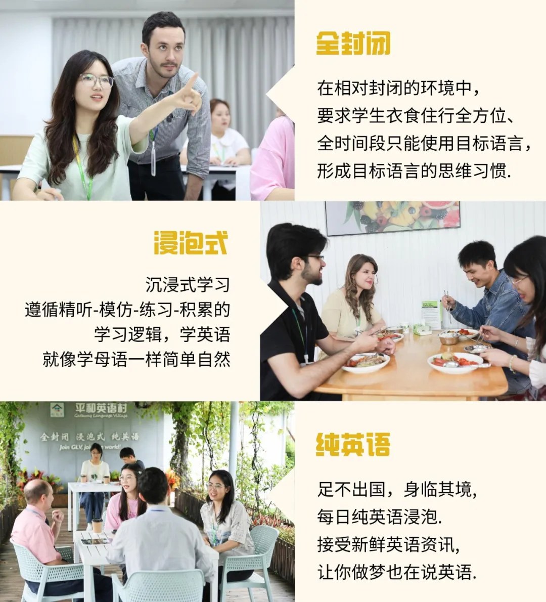 平和英语村珠海成人全日制纯英语课堂:分级课程、每日课表与浸泡式学习体验